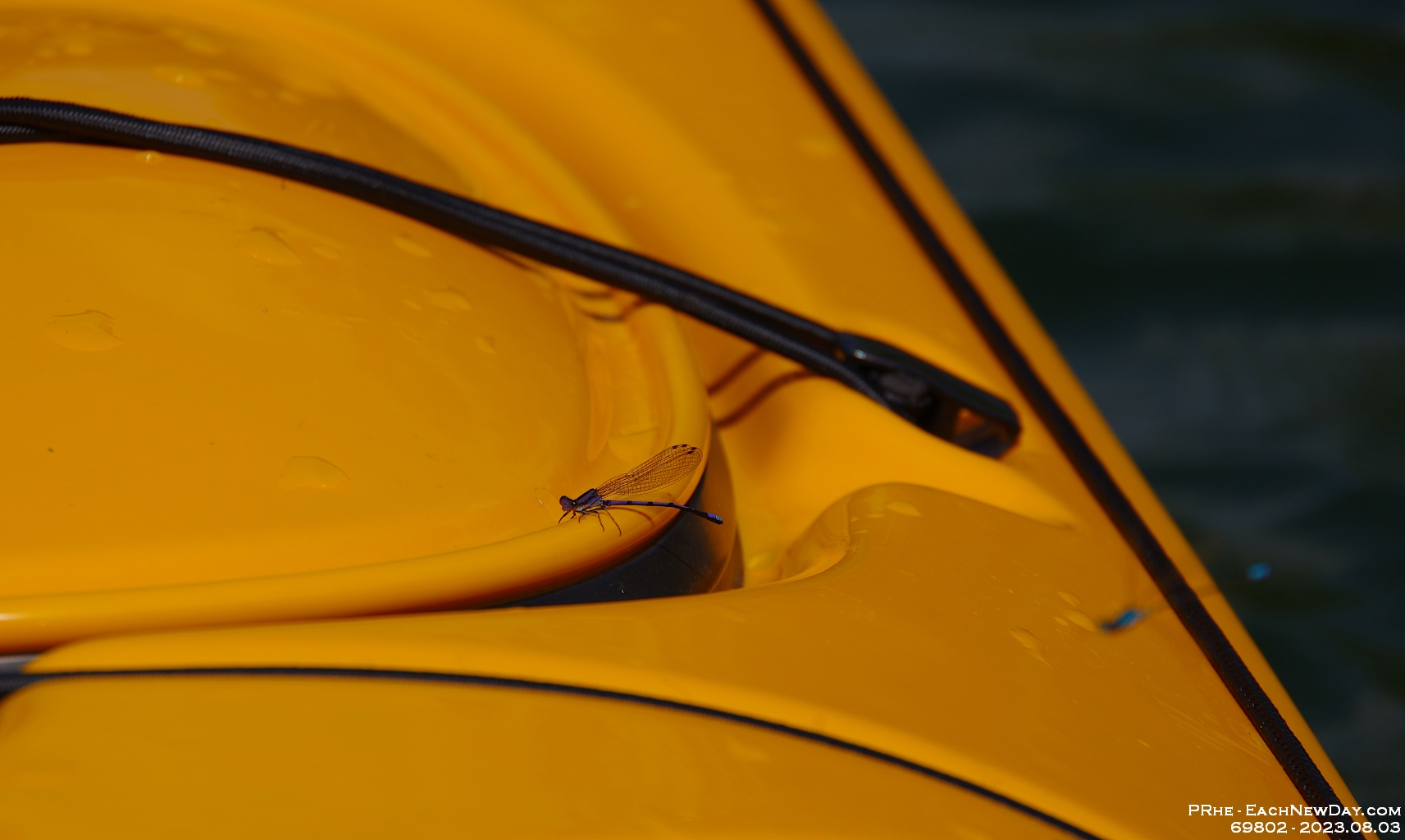 69802CrLeUsm - Vacationing at Hammock Harbour - Kayaking the top end of Lake Couchiching and the channels in Washago